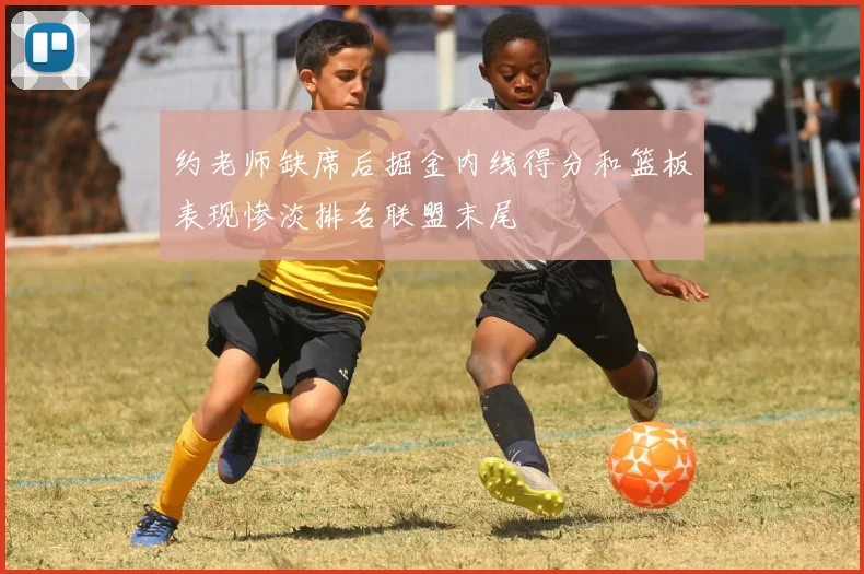 约老师缺席后掘金内线得分和篮板表现惨淡排名联盟末尾