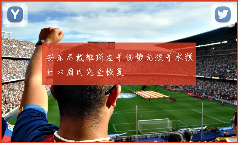 安东尼戴维斯左手伤势无须手术预计六周内完全恢复