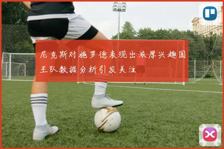 尼克斯对施罗德表现出浓厚兴趣国王队数据分析引发关注